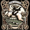 Horse T-Shirt Show Jumper