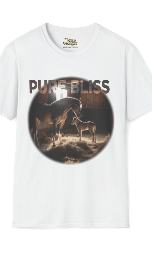 two horses in a barn with hay and light filtering in.